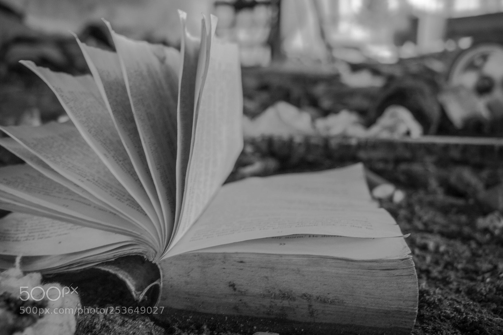Canon EOS 750D (EOS Rebel T6i / EOS Kiss X8i) sample photo. Book photography