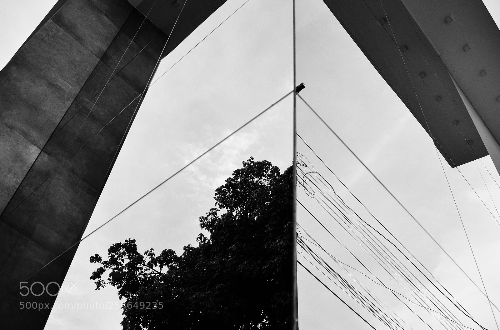 Nikon D5300 sample photo. Nature x urban photography