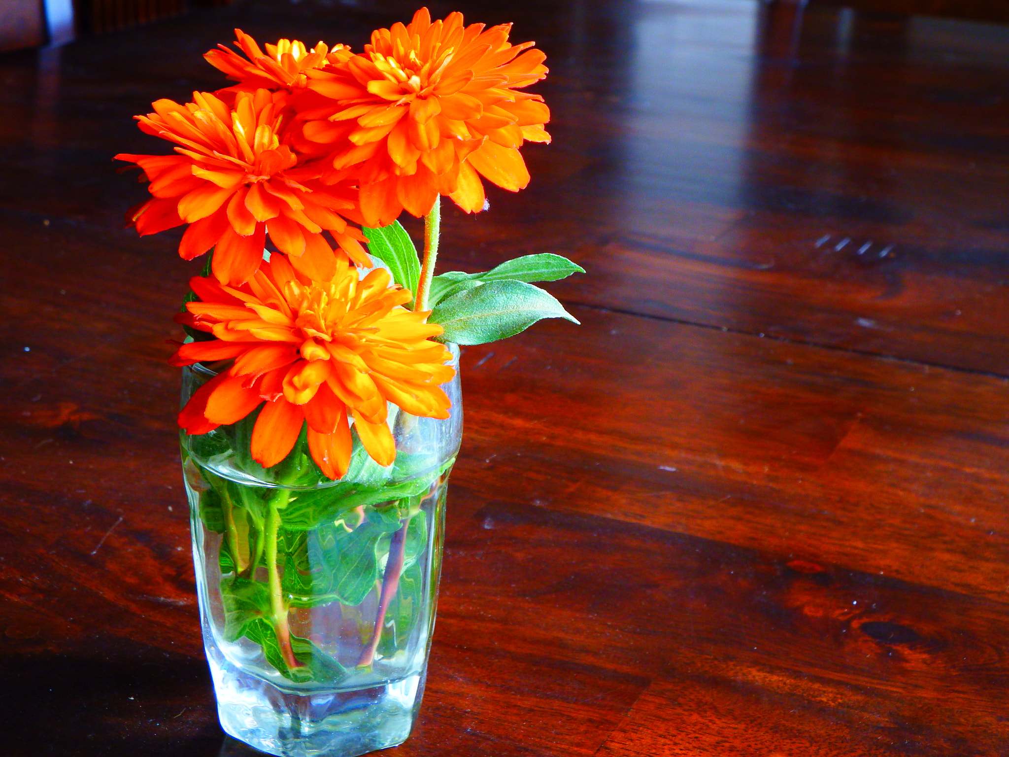 Fujifilm FinePix SL1000 sample photo. Still life photography