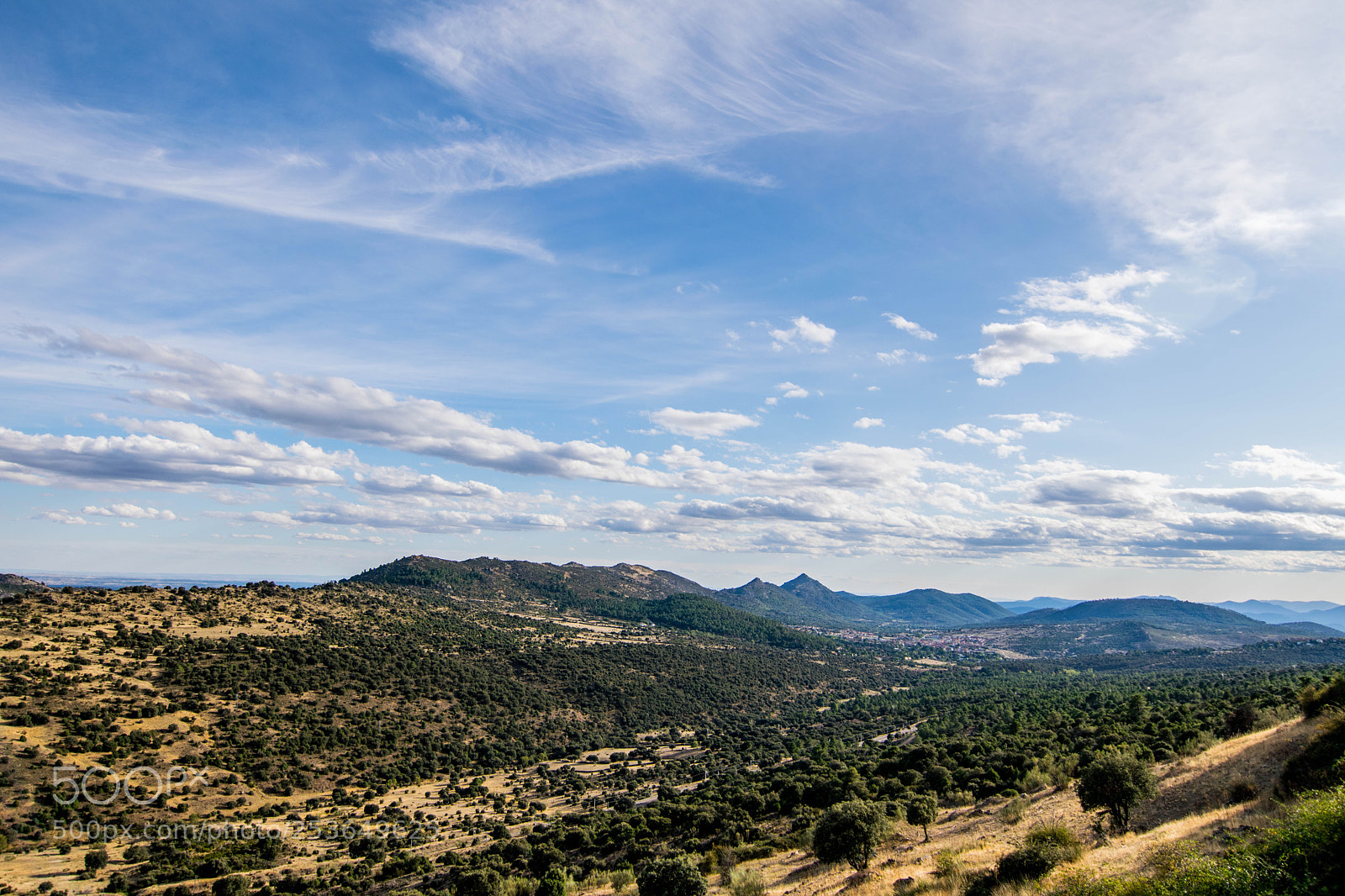 Nikon D5300 sample photo. Untitled photography