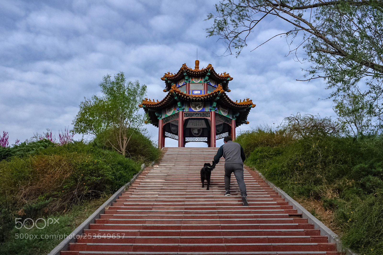 Fujifilm X100F sample photo. Untitled photography