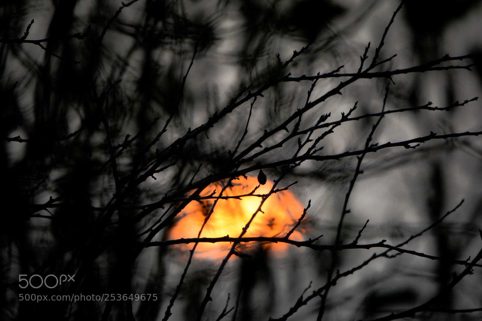 Nikon D5200 sample photo. Red sunset photography