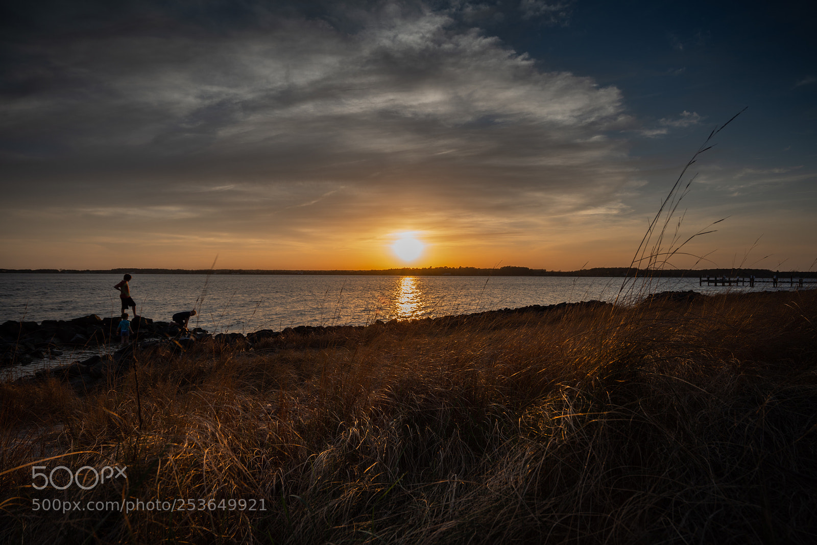 Sony a7R III sample photo. Untitled photography