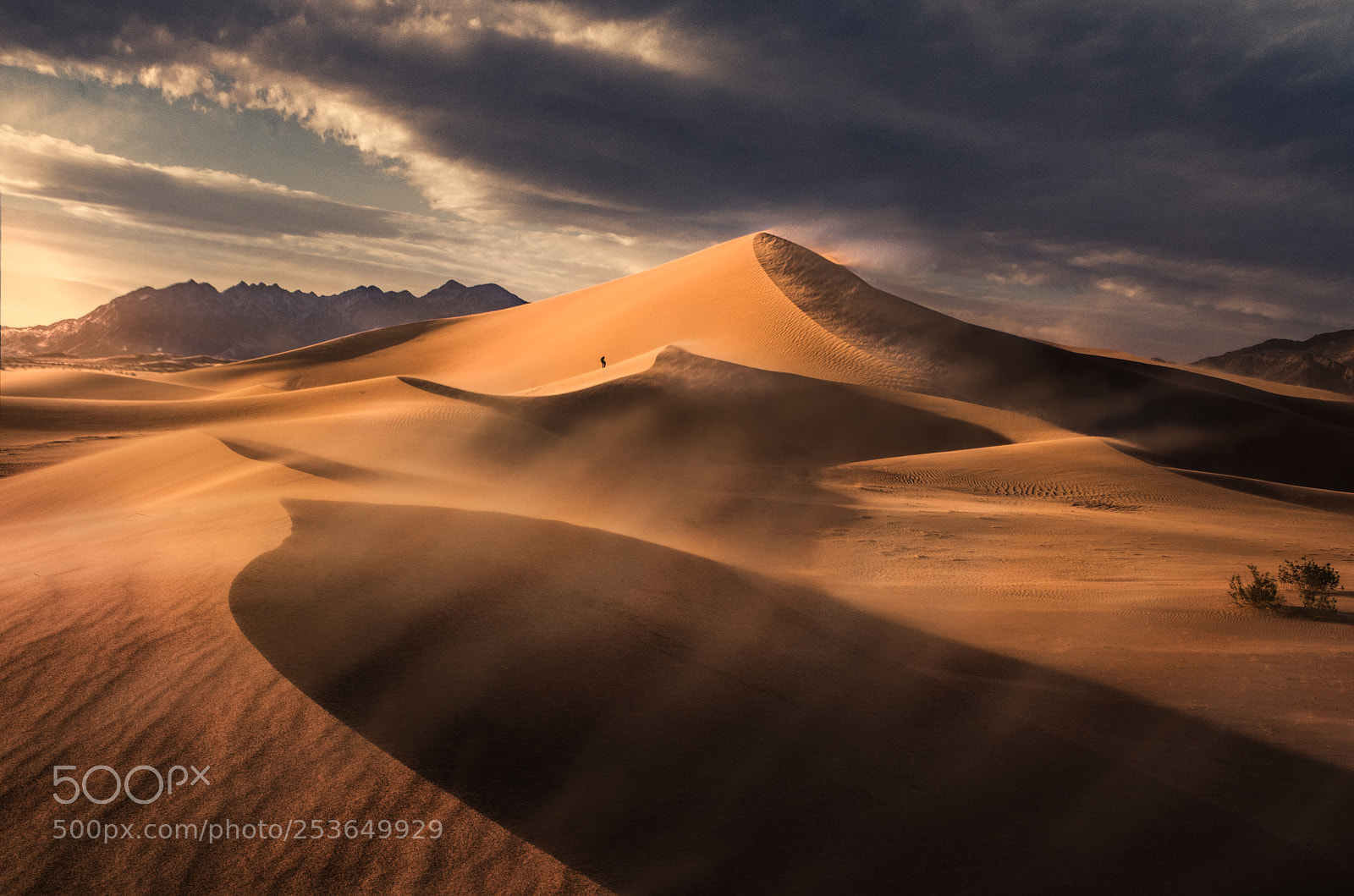 Nikon D850 sample photo. Sandstorm at ibex photography