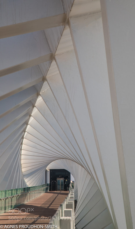 Canon EOS 5D Mark IV sample photo. Dubai photography