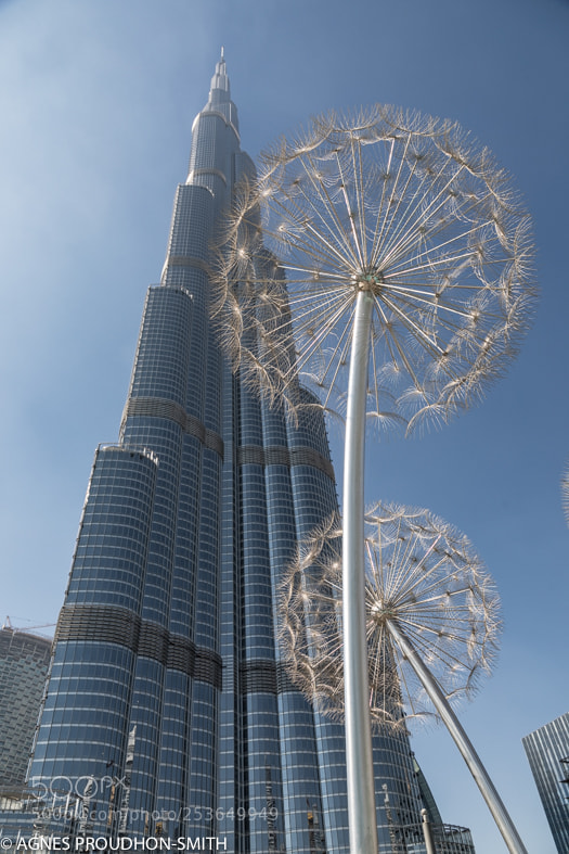 Canon EOS 5D Mark IV sample photo. Dubai photography