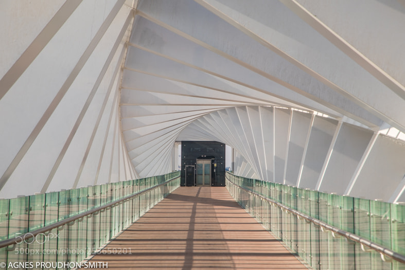 Canon EOS 5D Mark IV sample photo. Dubai photography