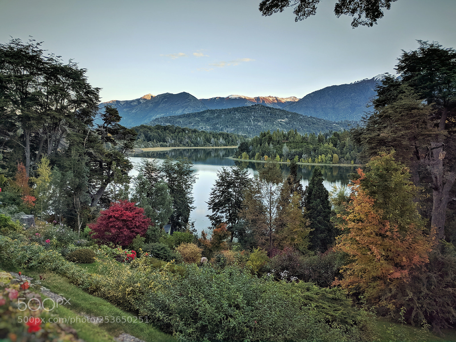 LG Nexus 5X sample photo. Bellevue photography