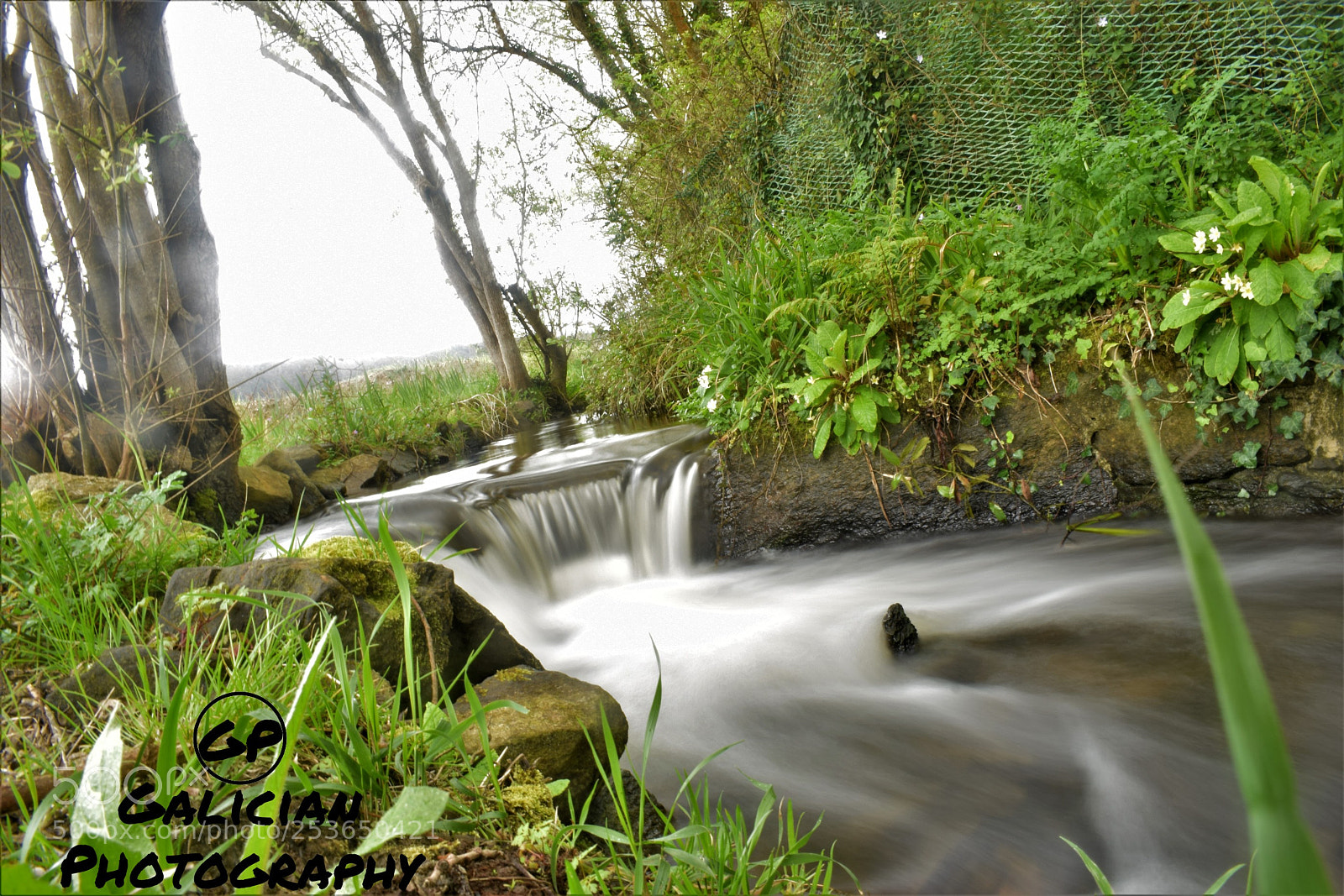 Nikon D3300 sample photo. Untitled photography