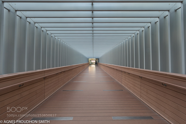 Canon EOS 5D Mark IV sample photo. Dubai photography