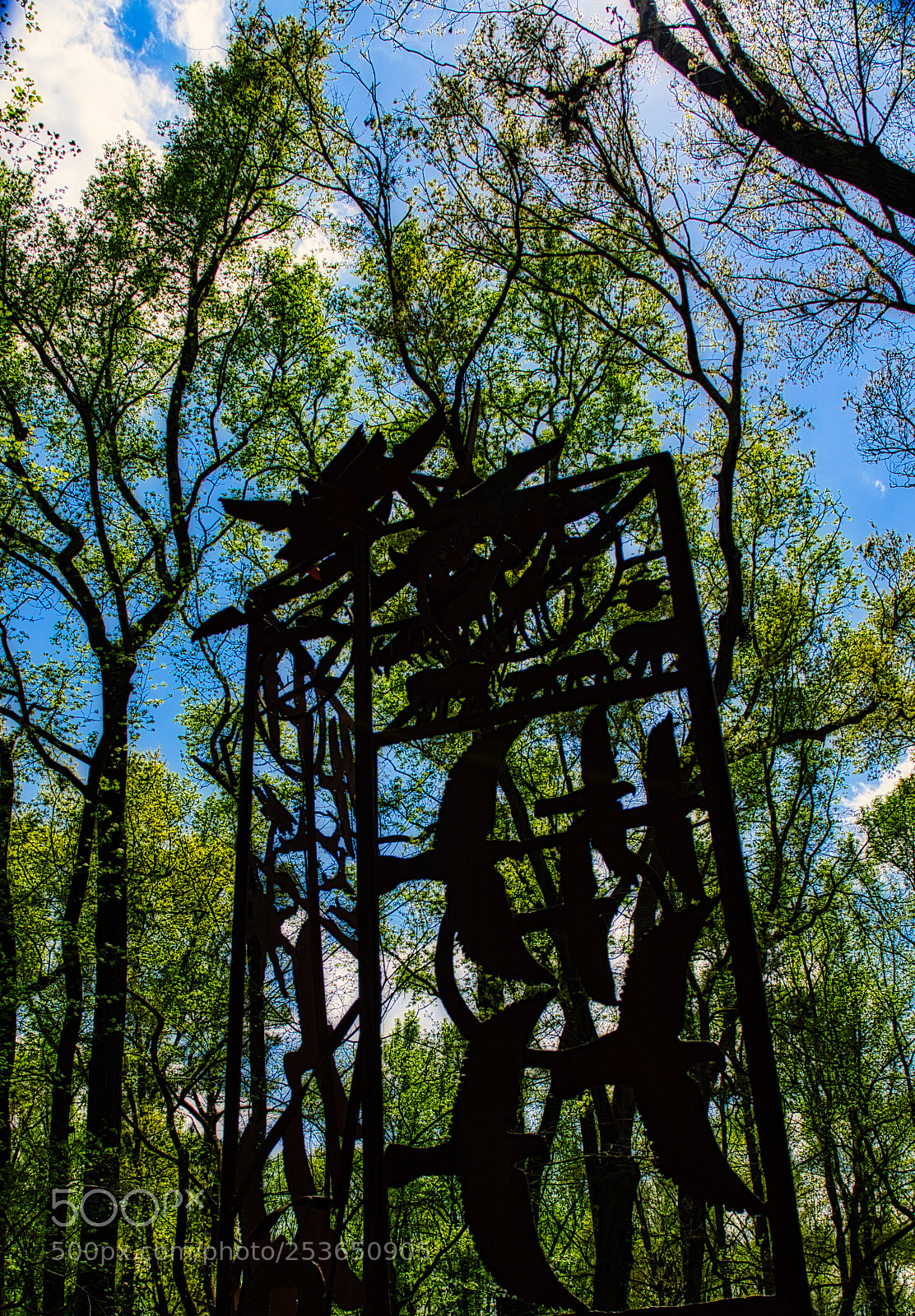 Nikon D7000 sample photo. Art in the woods photography