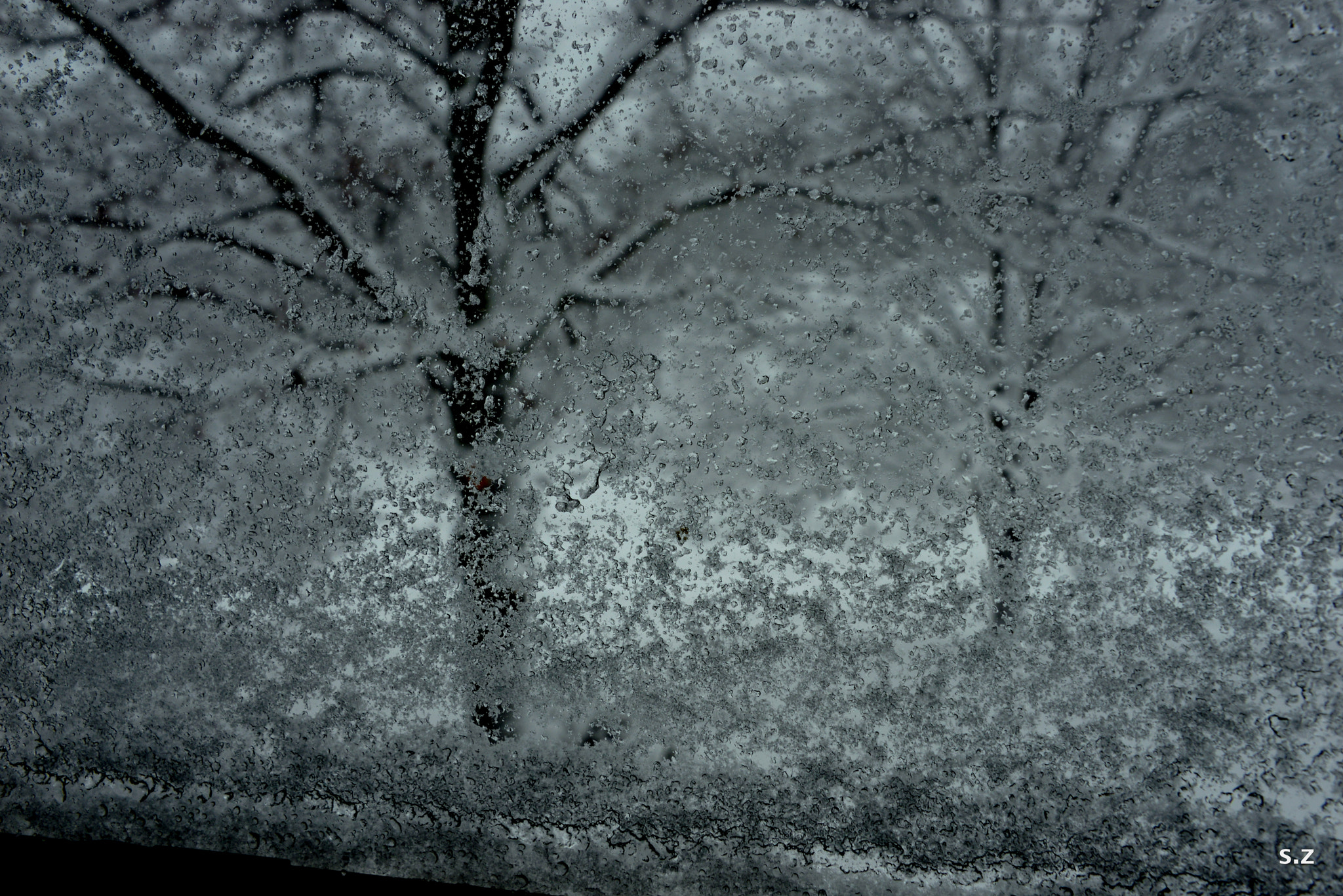 Nikon D610 sample photo. Snow storm photography