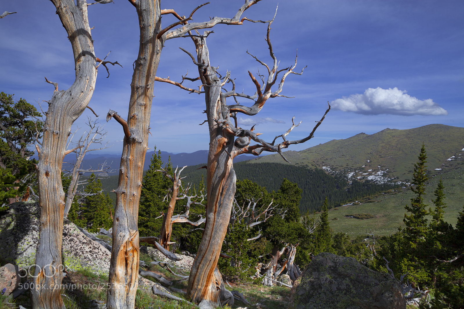 Canon EOS 5D Mark II sample photo. The ancient ones photography