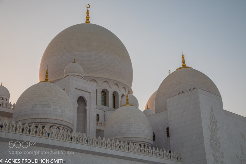 Canon EOS 5D Mark IV sample photo. Sheikh zayed grand mosque photography