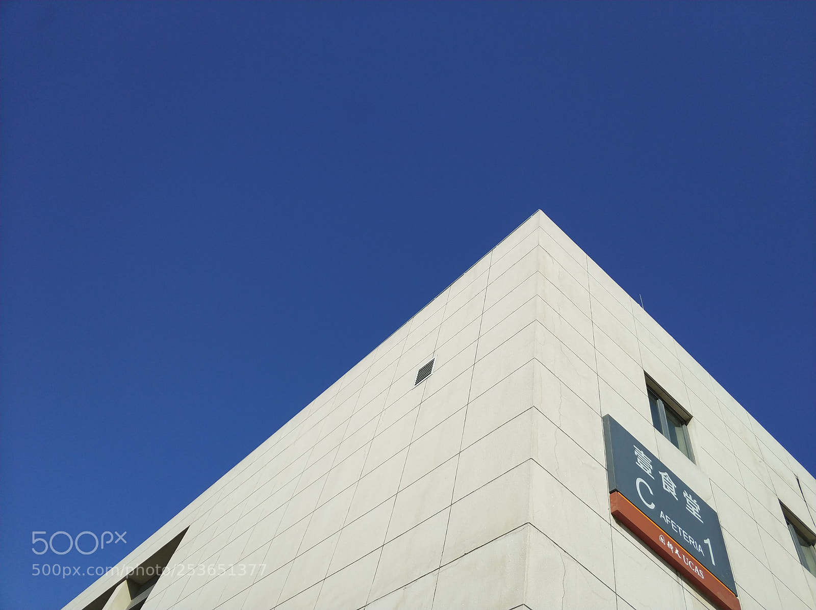 Xiaomi MI6 sample photo. Untitled photography