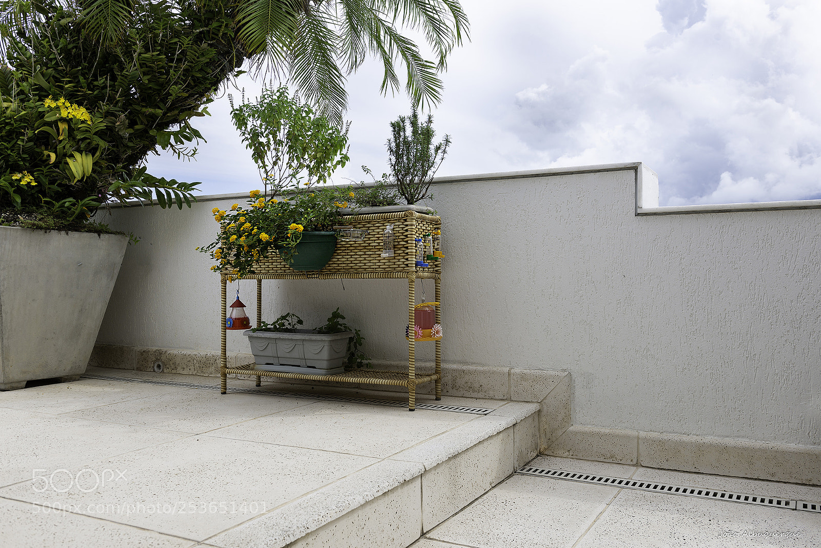 Nikon D600 sample photo. A place for herbs photography