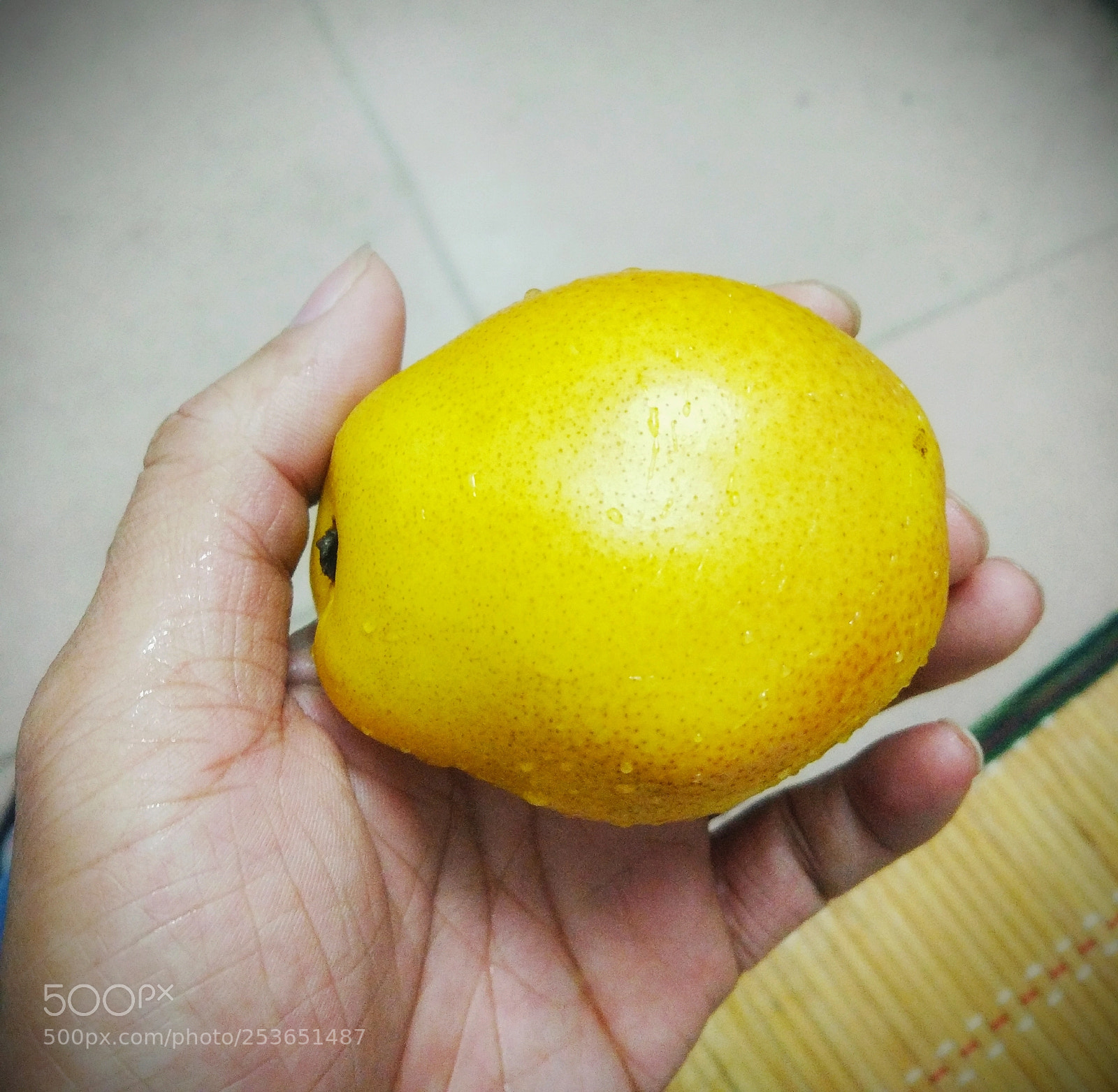 Xiaomi MI 5 sample photo. Untitled photography