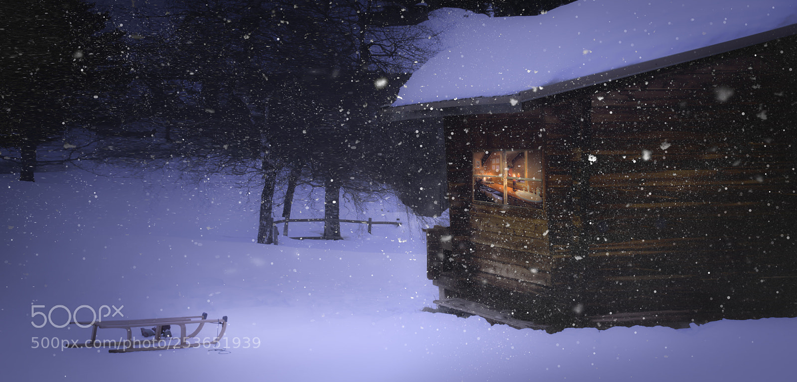Nikon D5200 sample photo. A winters tale photography