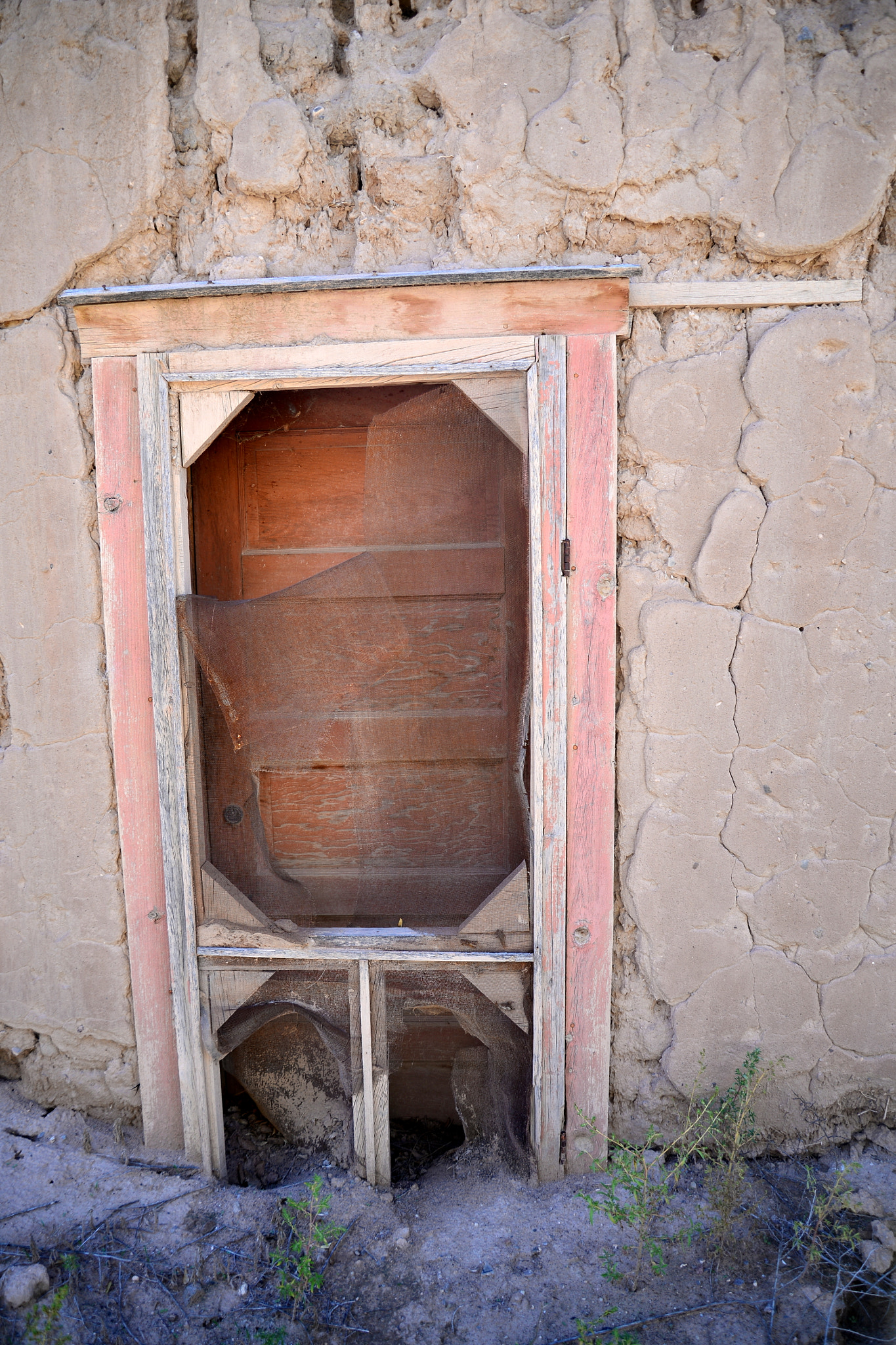 Nikon D610 sample photo. Going back to the desert sands photography