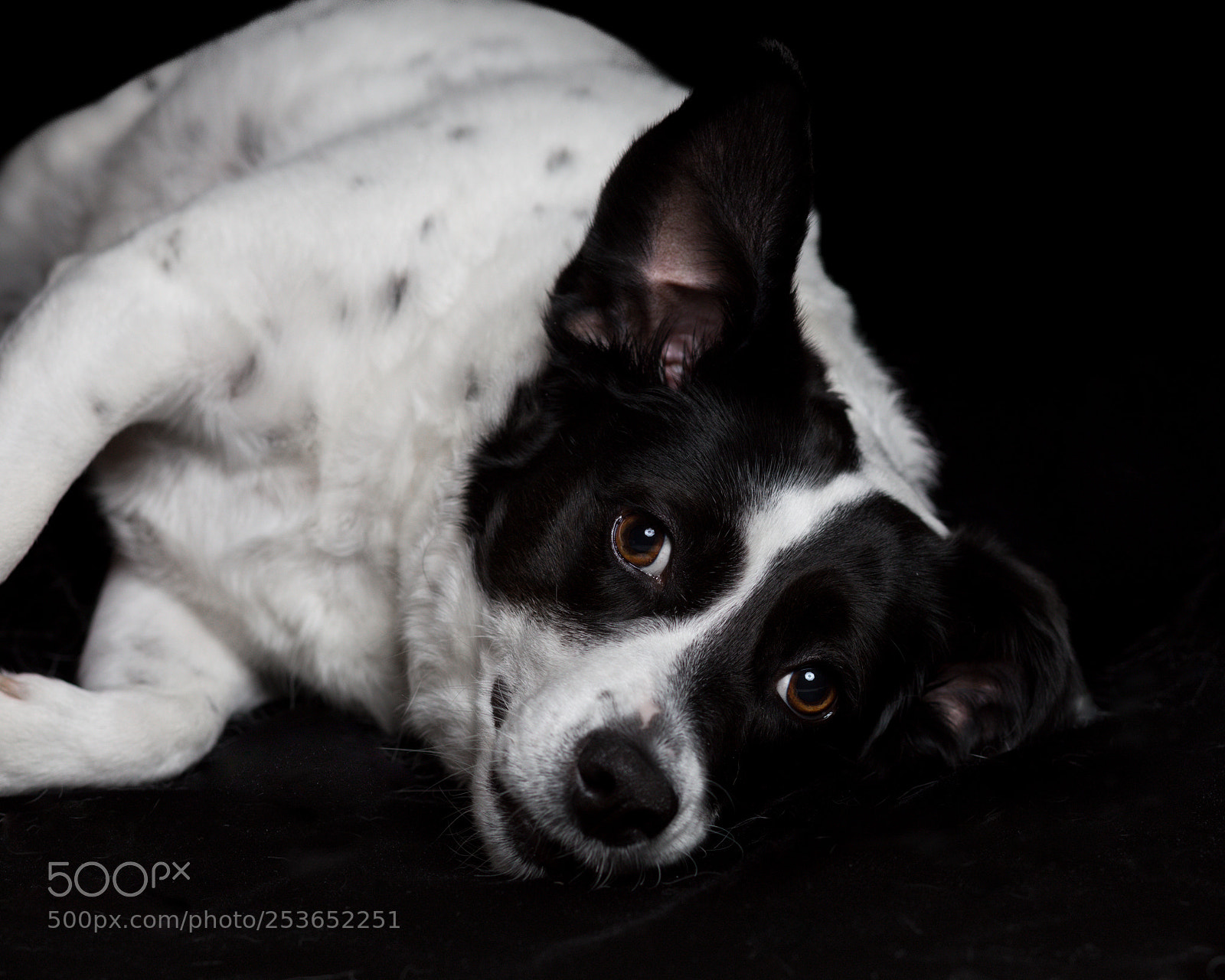 Canon EOS 5D Mark IV sample photo. Sophie photography