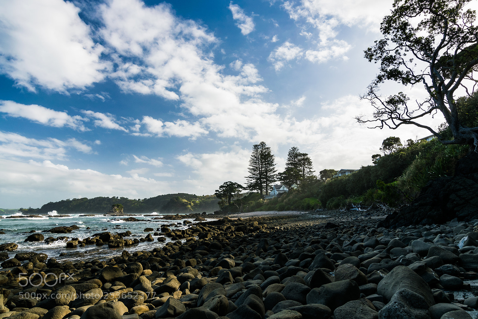 Nikon D5300 sample photo. Matakana photography