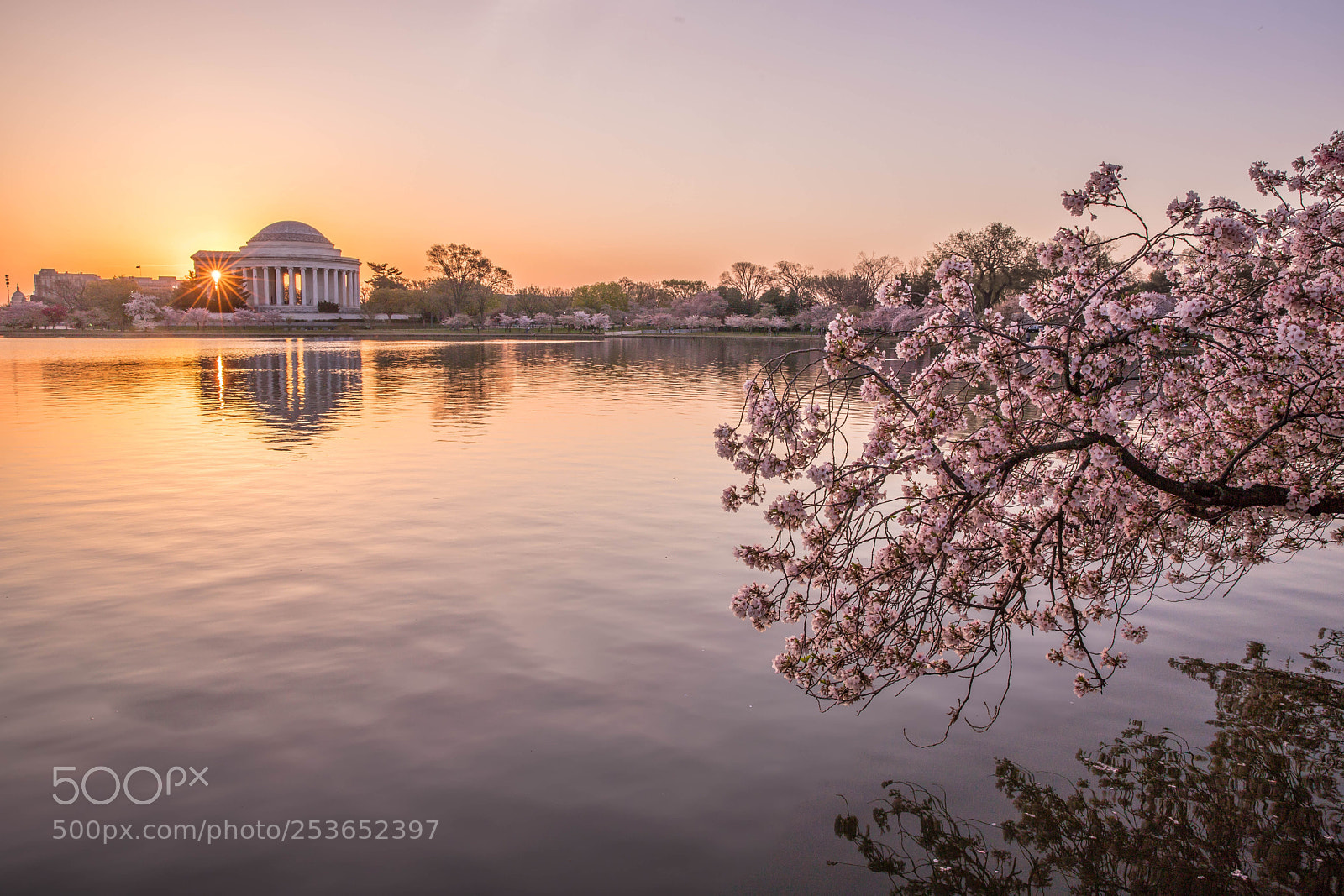 Canon EOS 6D Mark II sample photo. Sunrise in tidal basin photography
