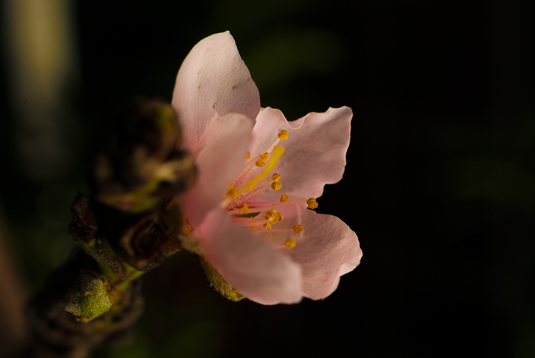 Sony Alpha DSLR-A330 sample photo. Sutil photography