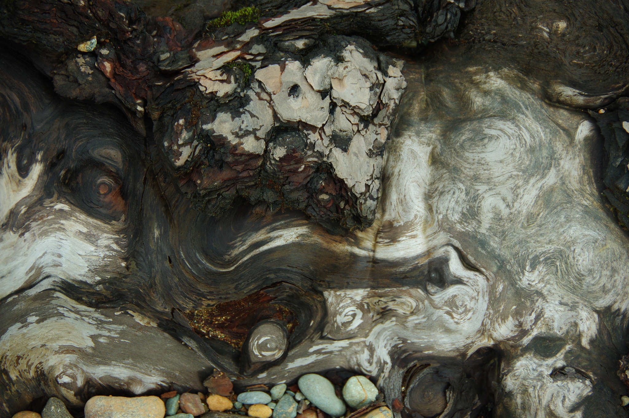Pentax K-3 sample photo. Rock n root photography