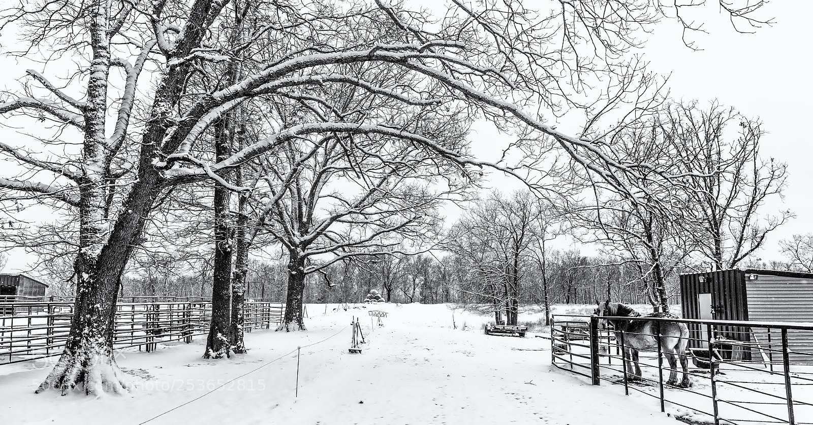 Nikon D800E sample photo. Winters end photography