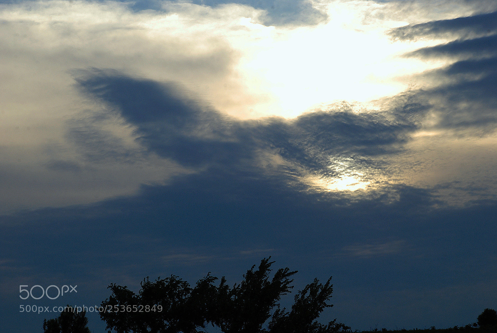 Nikon D80 sample photo. Cloud eagle photography