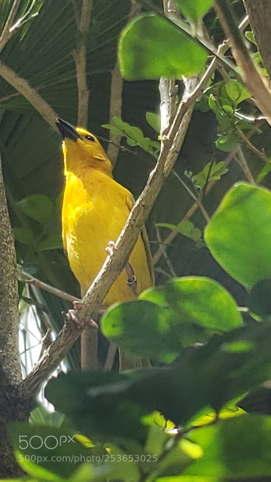 Samsung Galaxy S9+ sample photo. Untitled photography