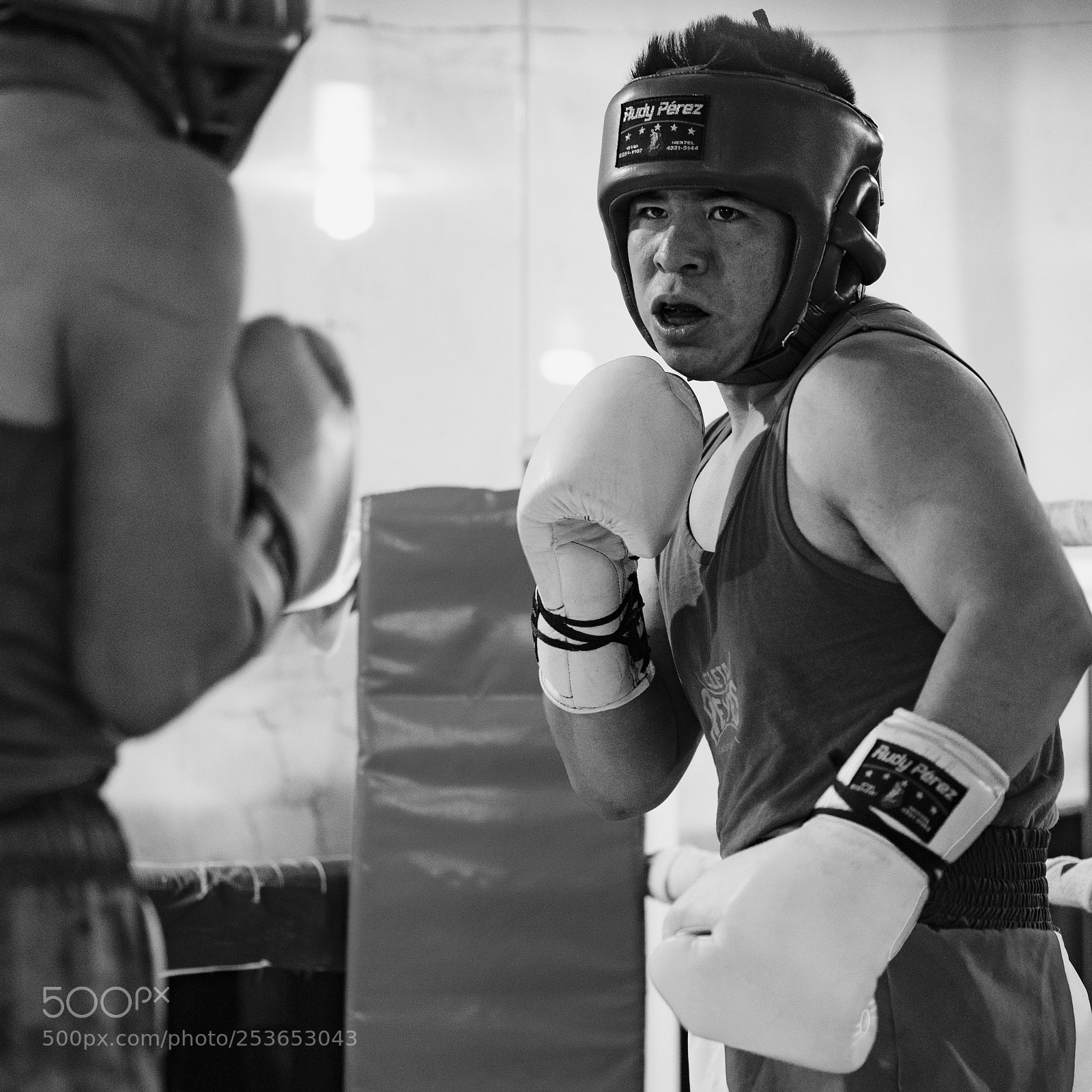 Panasonic Lumix DC-GH5 sample photo. Boxing photography
