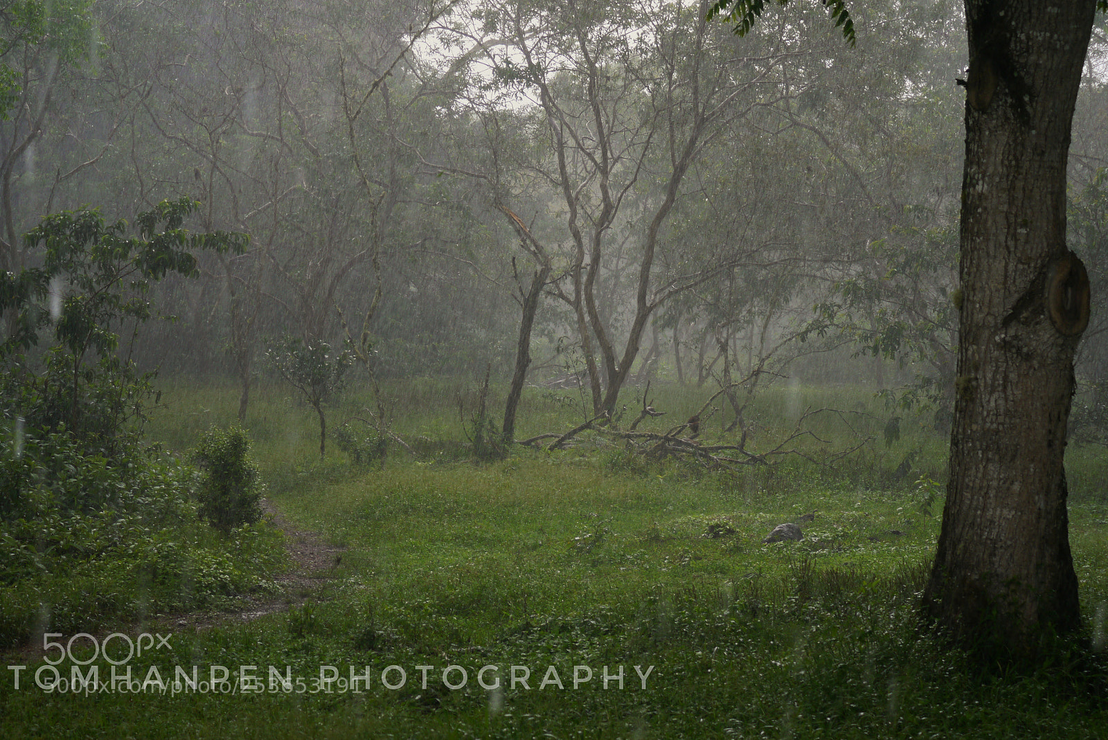 Panasonic Lumix DMC-G3 sample photo. The highland rains photography