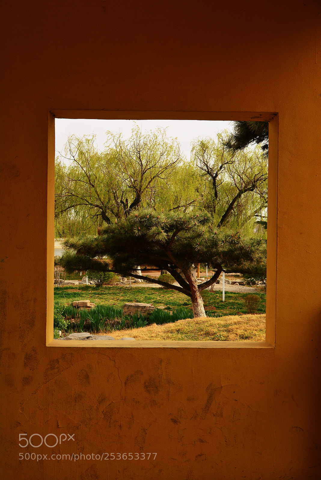 Nikon D7100 sample photo. Untitled photography