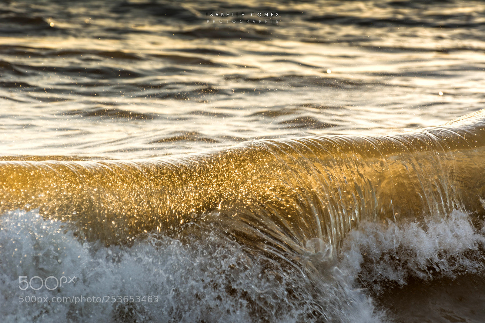 Nikon D7100 sample photo. Vague en or photography