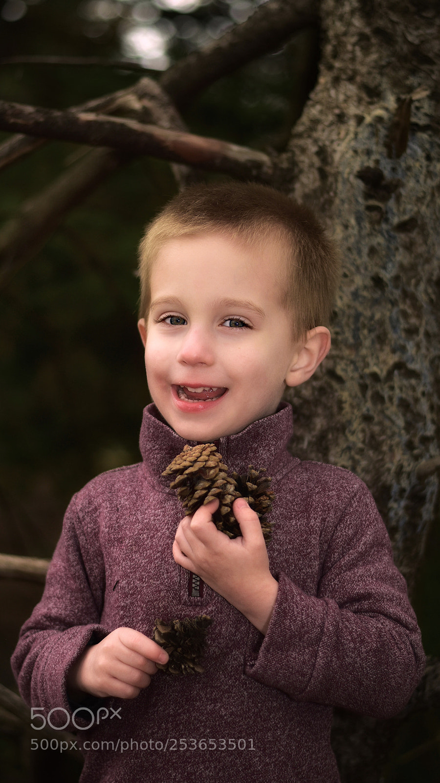 Nikon D5600 sample photo. Untitled photography