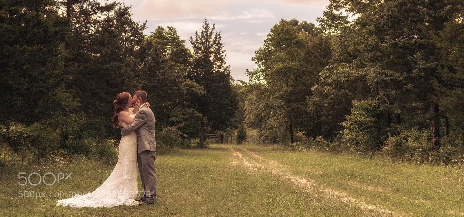 Nikon D800E sample photo. Enchanted forrest photography