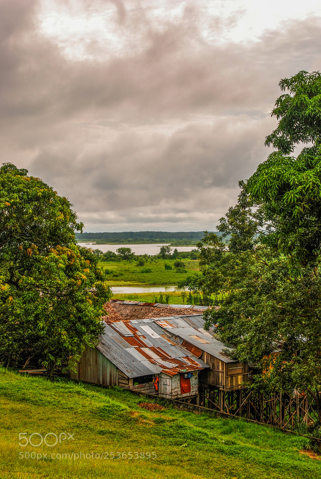 Nikon D80 sample photo. Amazon life photography