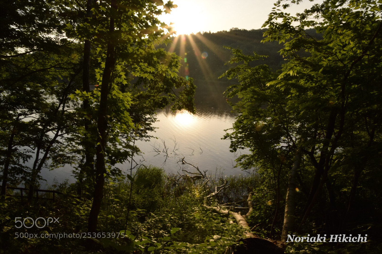 Nikon D5300 sample photo. Dawn lake photography