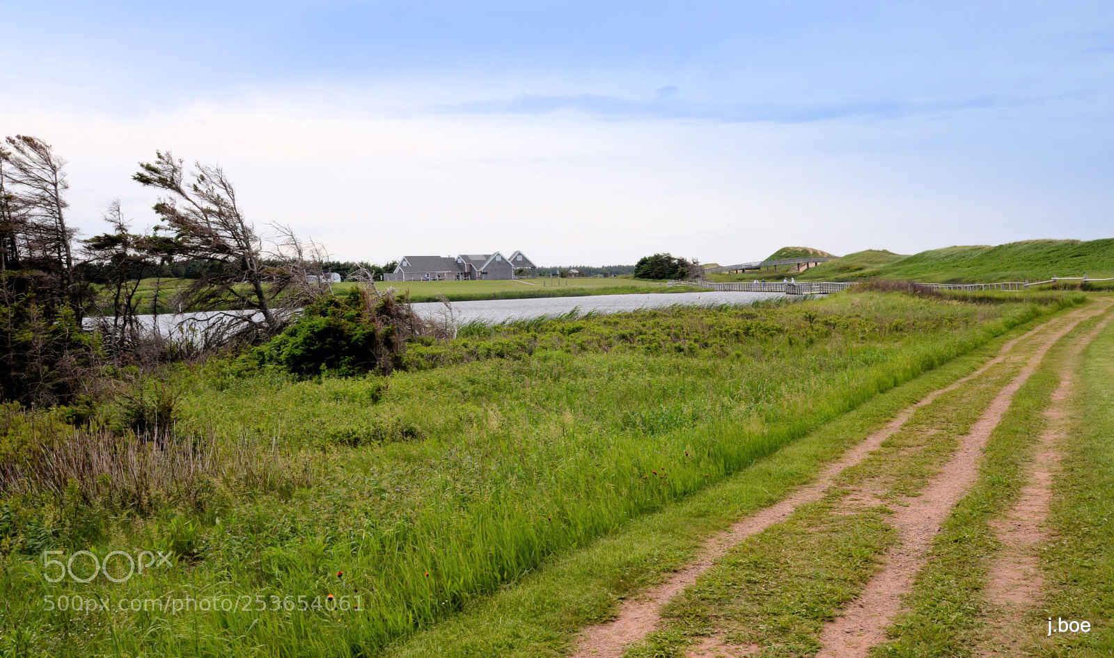Nikon D610 sample photo. 2016.06.21 - wind blown photography