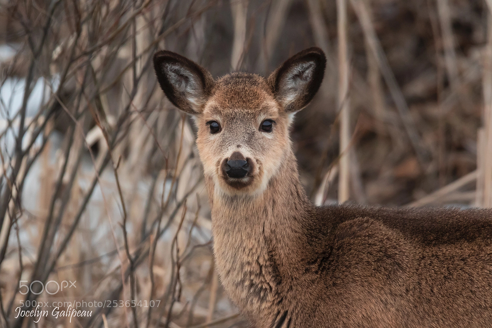 Canon EOS 7D Mark II sample photo. Beside the road photography
