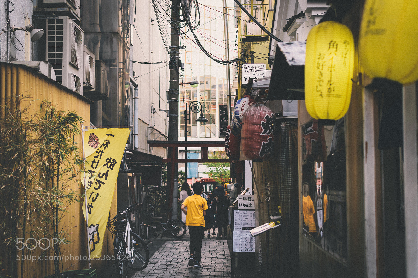 Nikon D3300 sample photo. Yellow photography