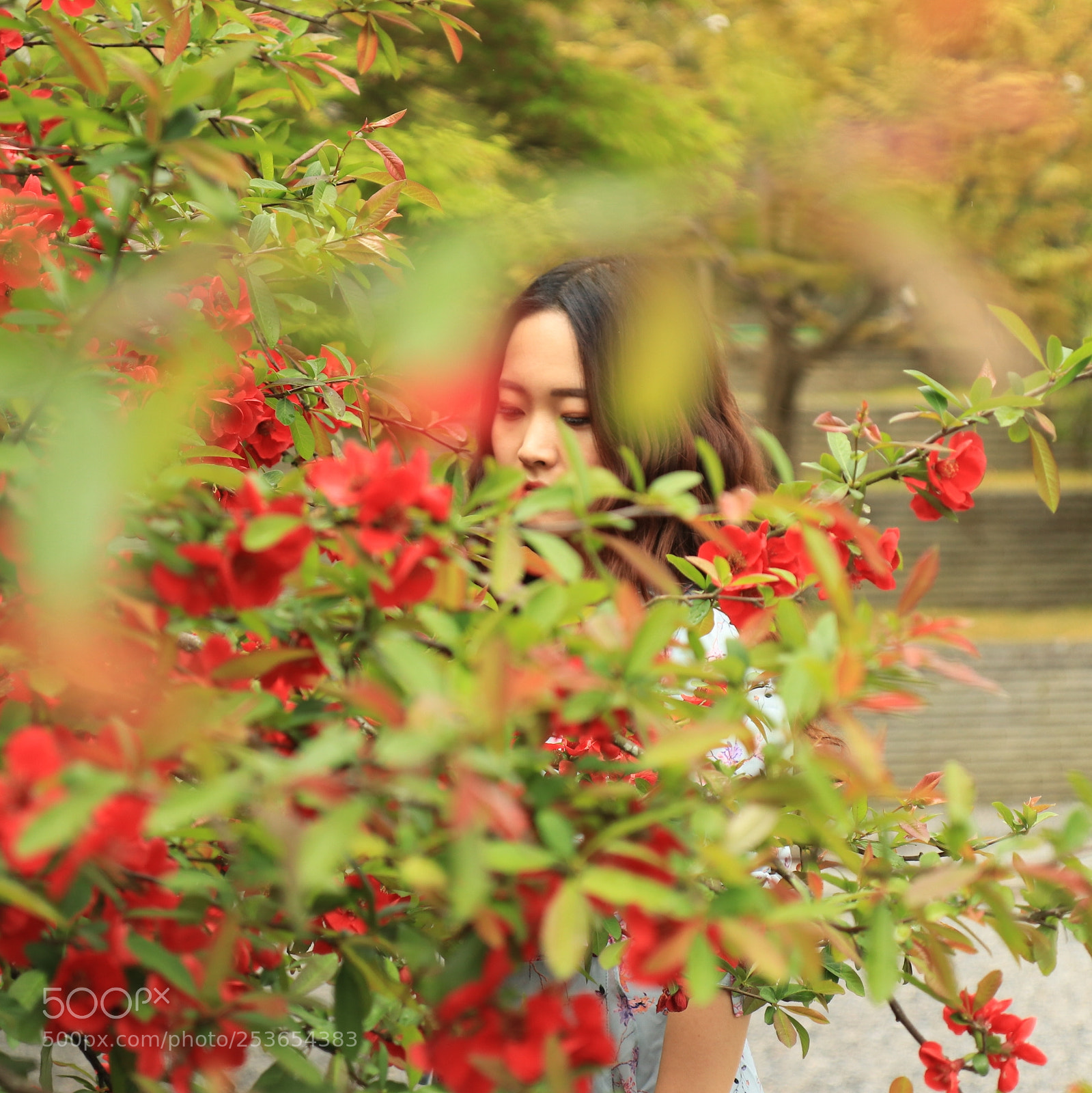 Canon EOS 80D sample photo. Flower of kyoto photography