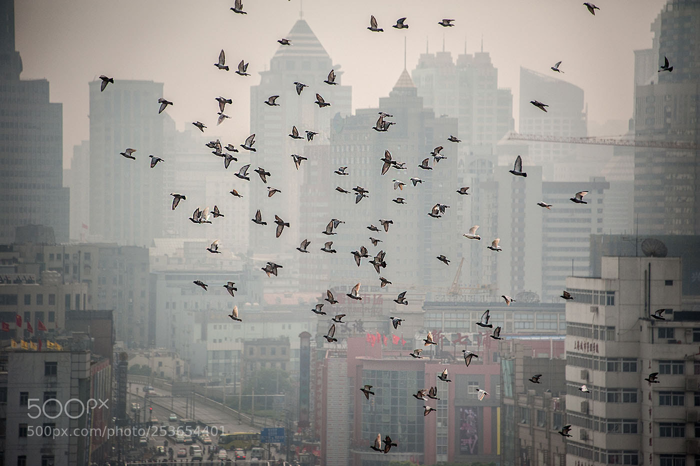Nikon D700 sample photo. A view of shanghai photography