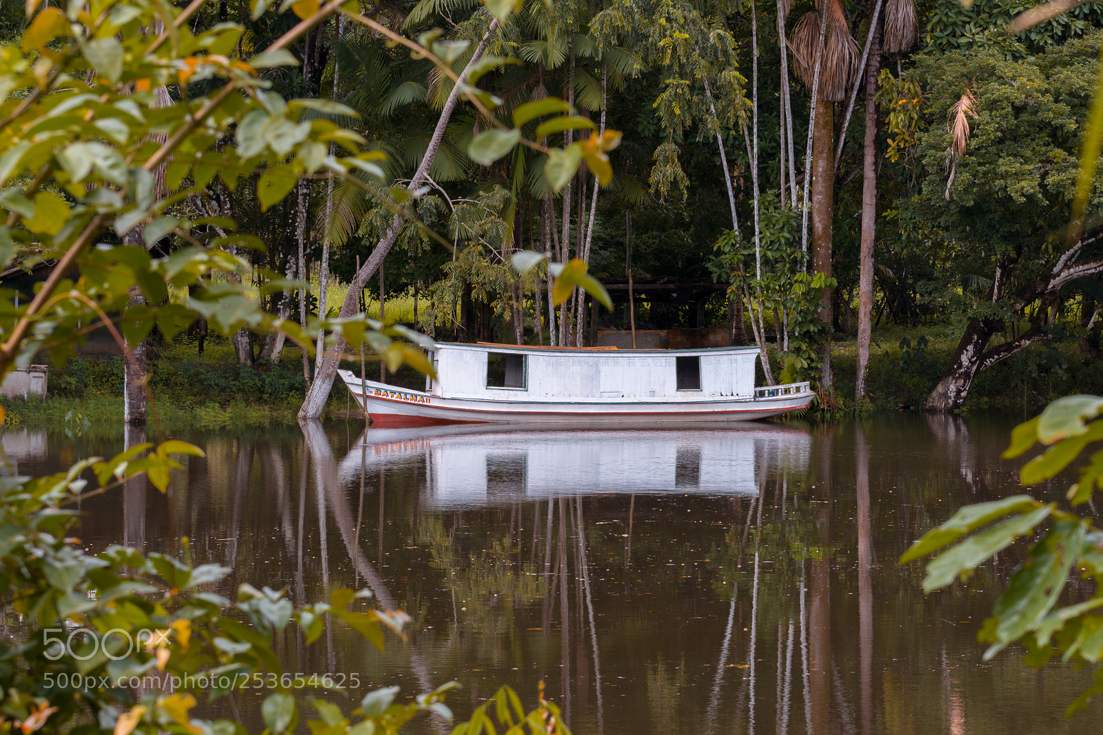 Nikon D7100 sample photo. A vida na amaz photography