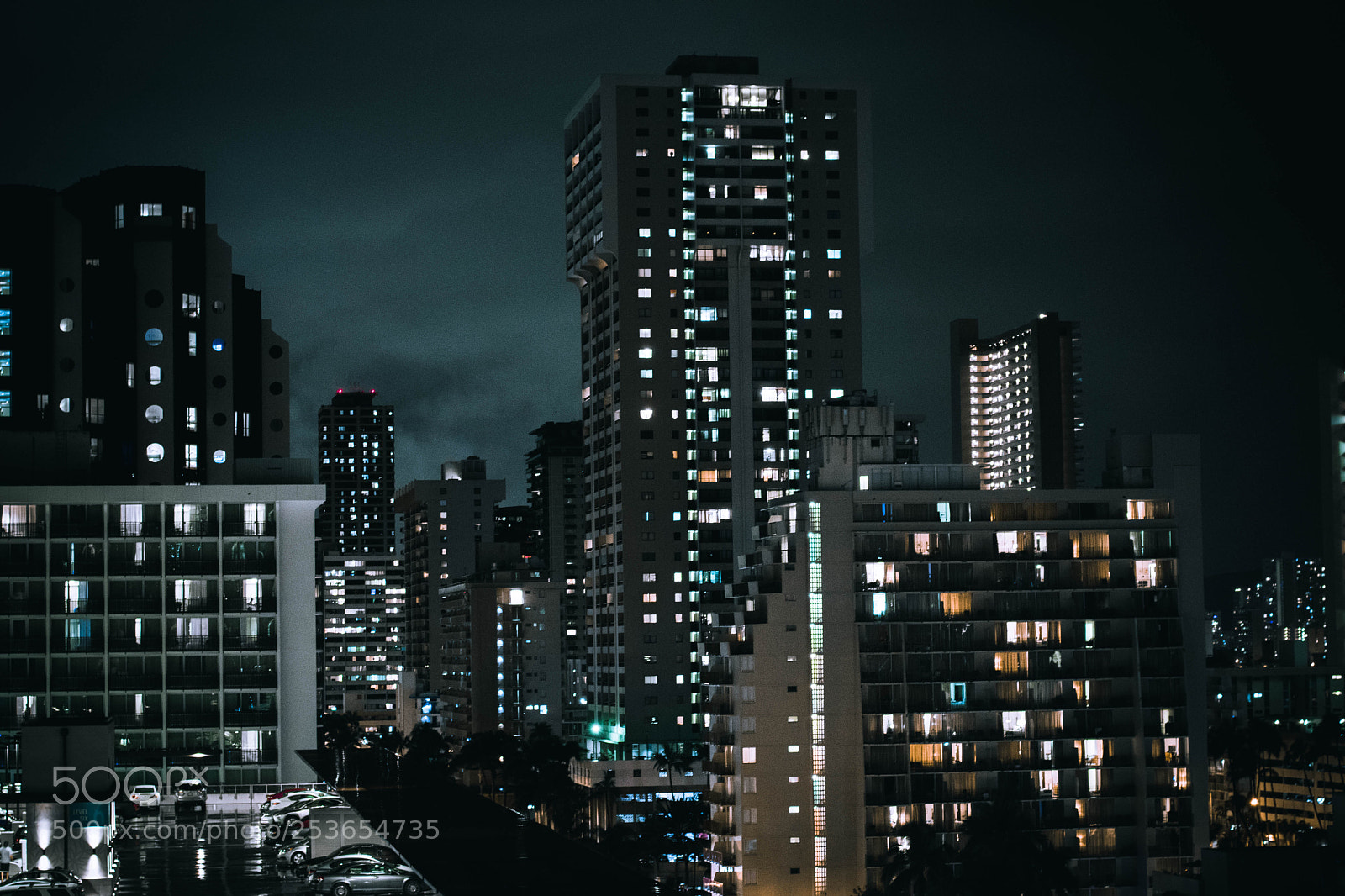 Nikon D5600 sample photo. Night owl photography
