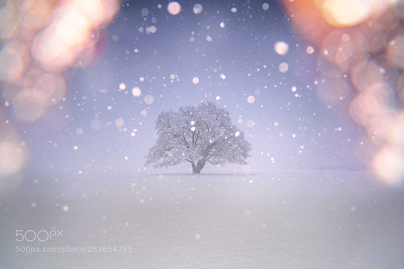 Sony a7R III sample photo. April snow photography