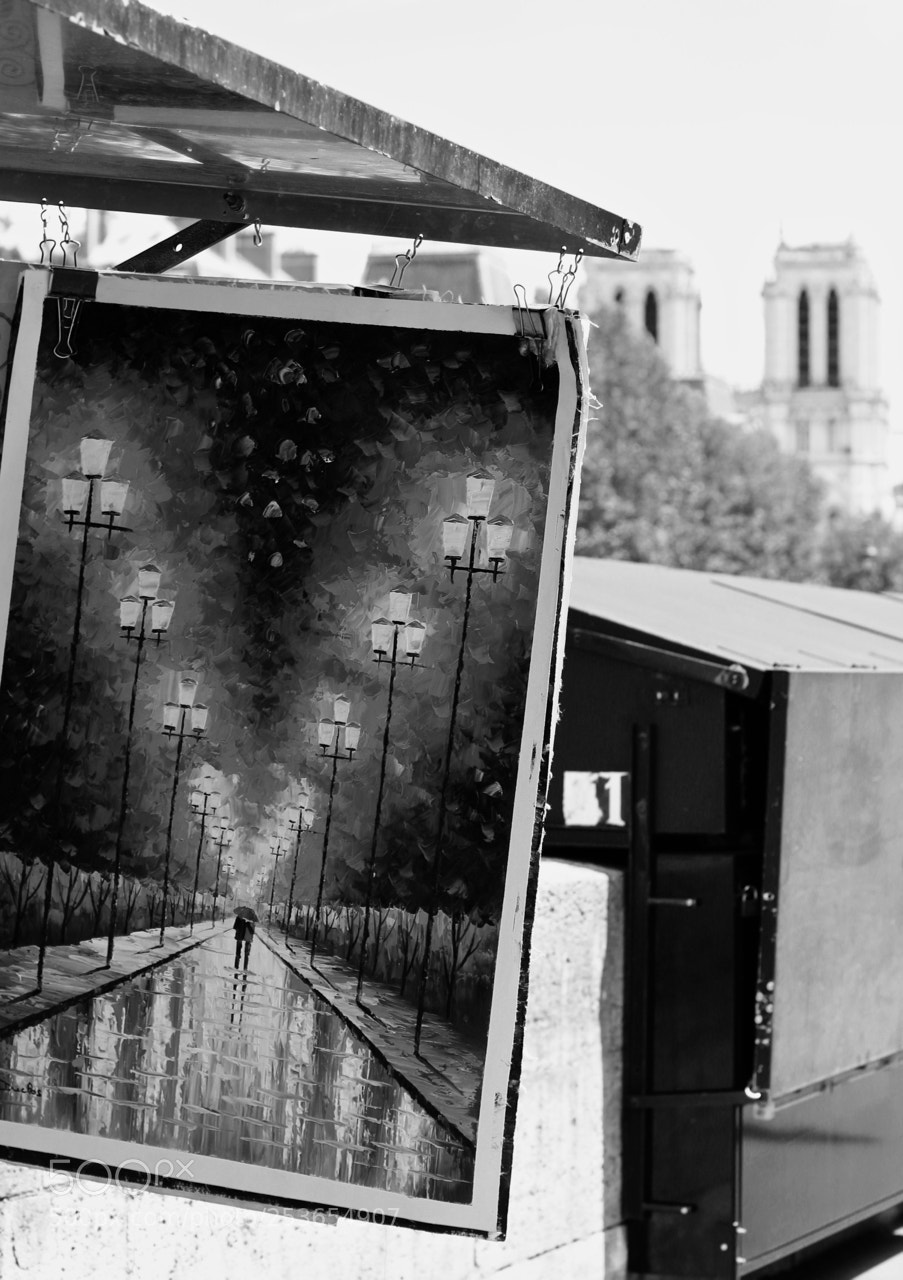 Canon EOS 100D (EOS Rebel SL1 / EOS Kiss X7) sample photo. Paris art photography