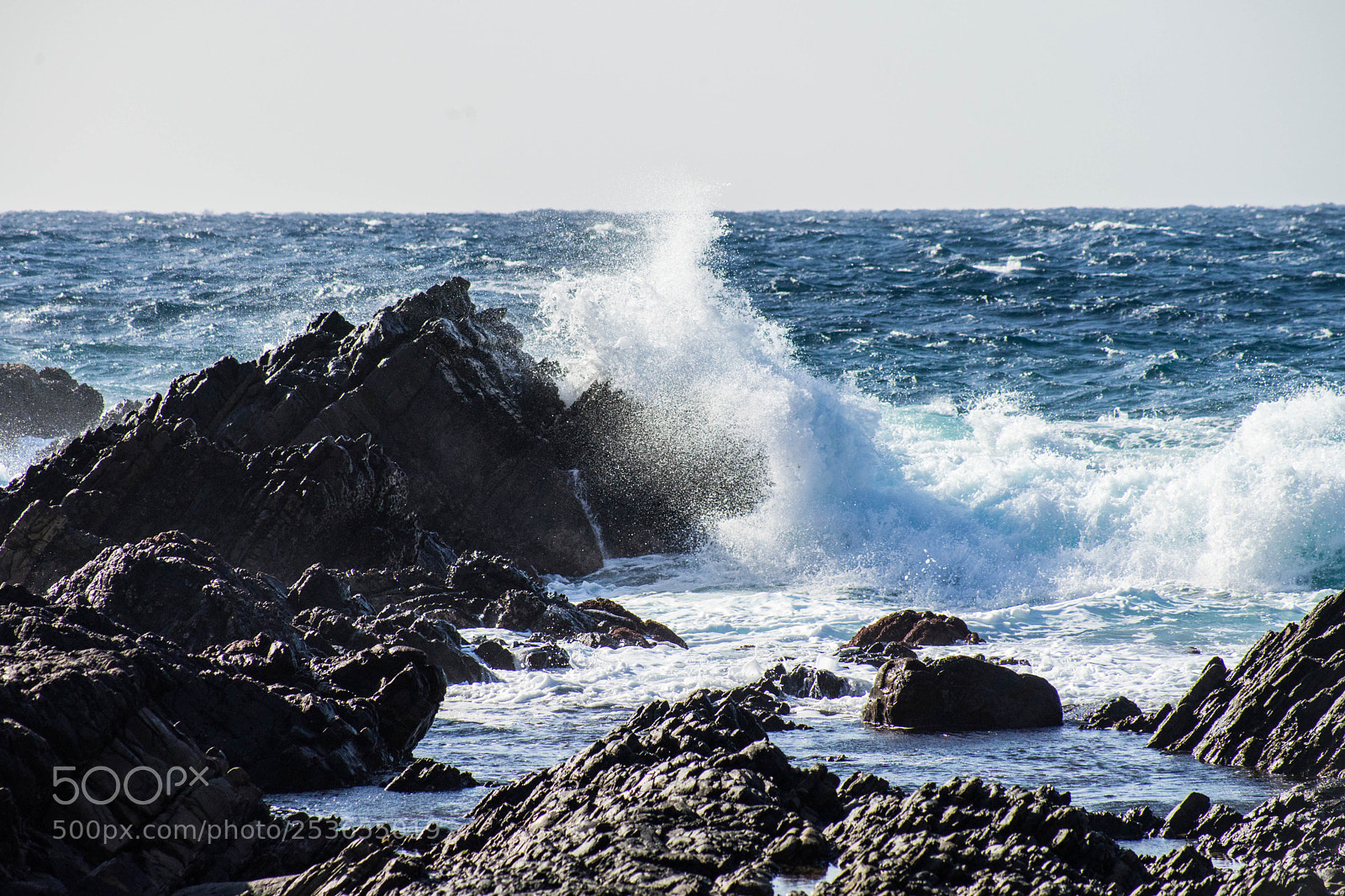 Sony a7 II sample photo. Tsushima photography