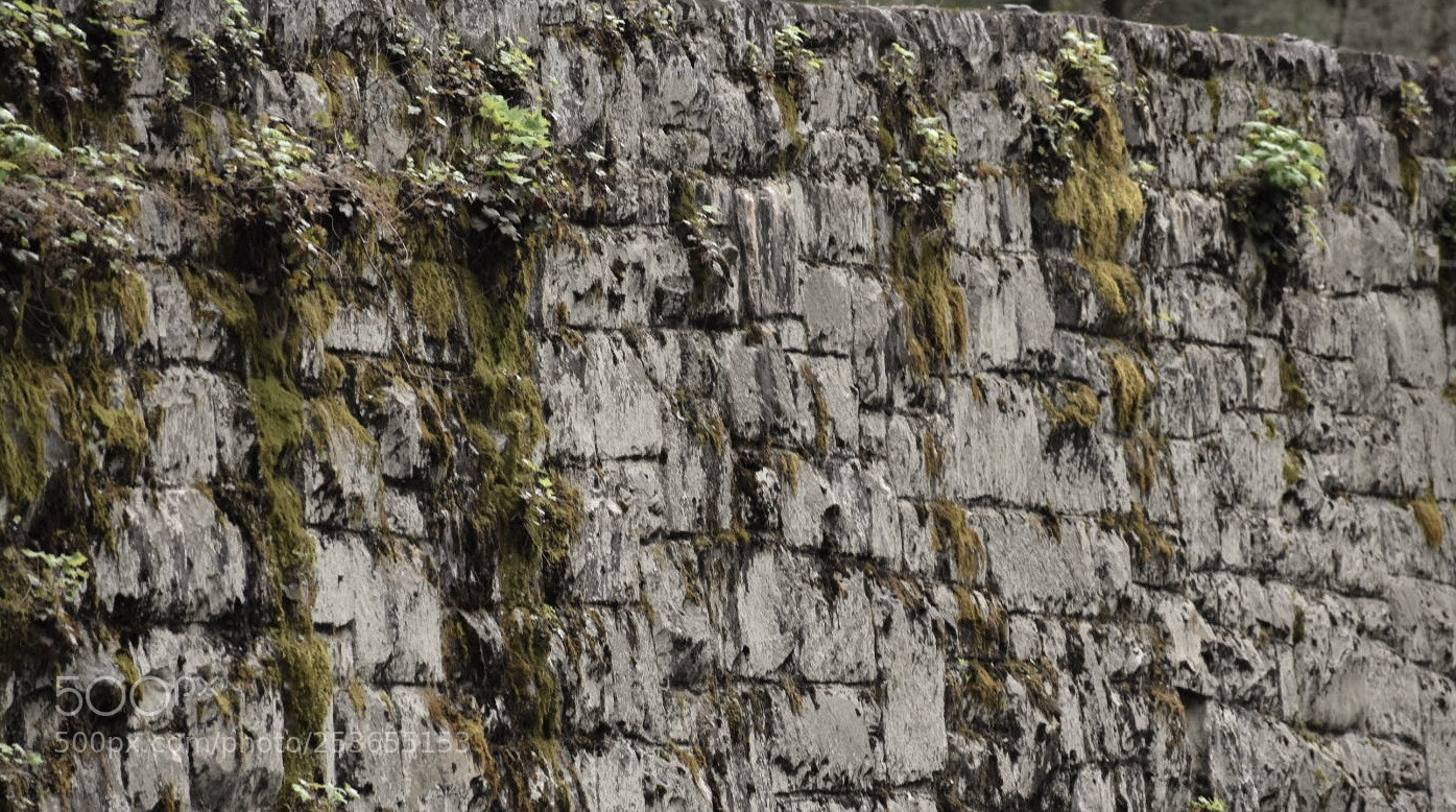 Nikon D3400 sample photo. Stone wall photography